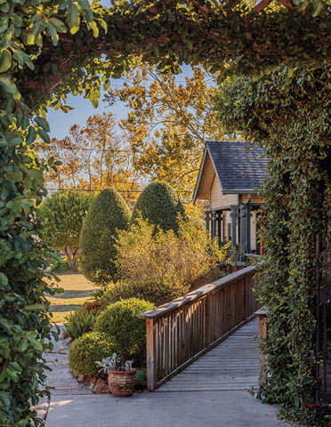 Silver Sycamore Bed & Breakfast 